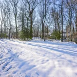 85-web-or-mls-DSC01657